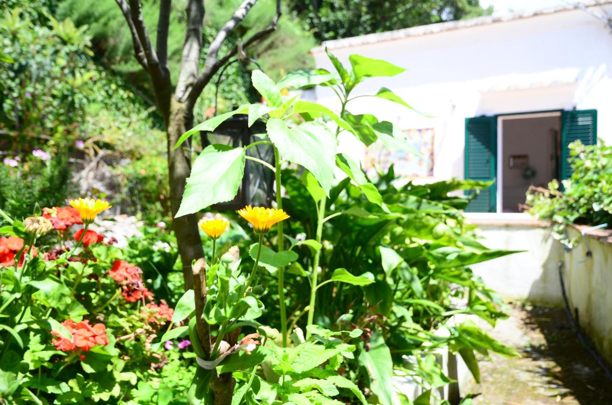 Amalfi Hills Aparthotel Phòng bức ảnh